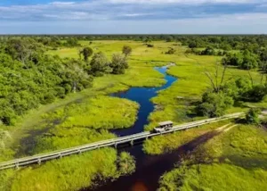 15999357-on-safari-in-khwai