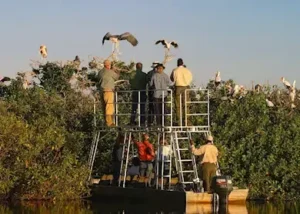 178593-viewing-heron-on-a-boat-t