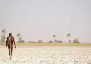 502392-walk-with-the-san-bushmen
